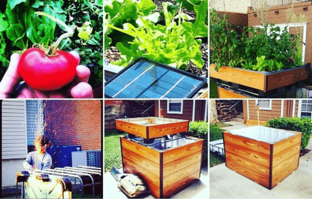 Closed-loop aquaponics