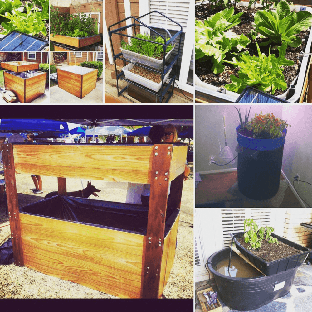 Aquaponics builds collage